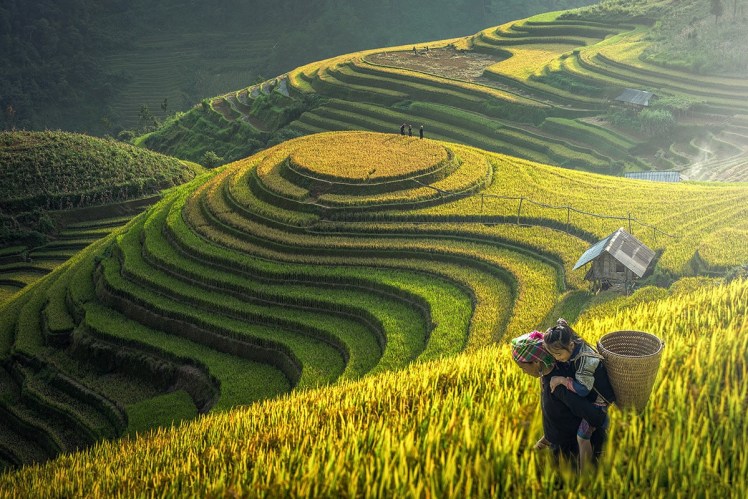 Du lịch Tây Bắc - Trọn gói - Giá ưu đãi - Dịch vụ chuyên nghiệp