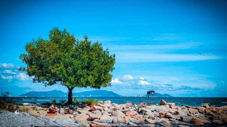 Ngỡ ngàng vẻ đẹp ma mị ốc đảo của chính Sài Gòn - Cắm trại Cần Giờ