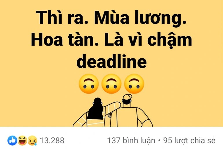 Due to constant deadlines, Gen Z drinks energy drinks, stays awake for 3 days - 2