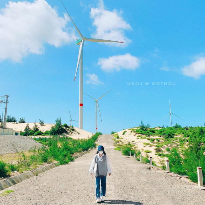 Play all the 5 most beautiful wind power fields in Vietnam in the summer - 3