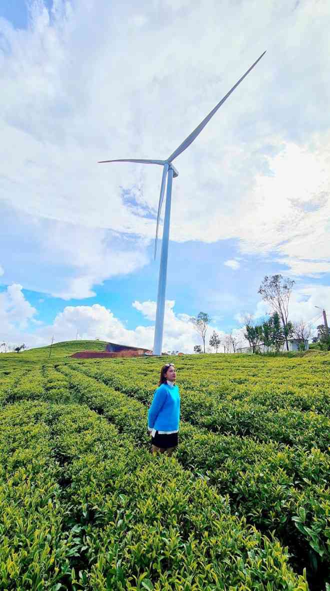 Play all the 5 most beautiful wind power fields in Vietnam in the summer - 11