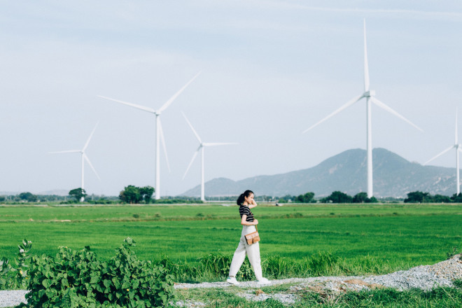 Play in the summer all 5 of the most beautiful wind power fields in Vietnam - 5