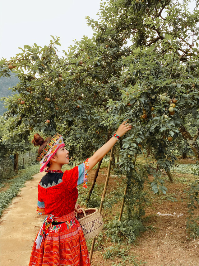 Going to Moc Chau this summer to enjoy ripe plums, you must definitely visit the Bach Long glass bridge: A beautiful virtual living place like a fairyland - Photo 2.