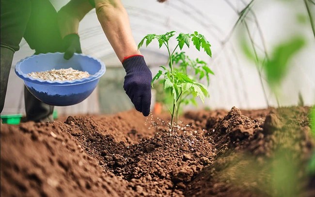 Already a historic record high, but fertilizer prices are expected to increase further in the long run