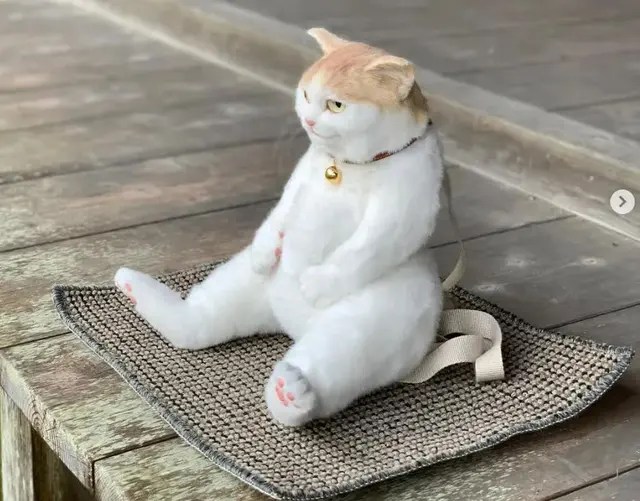 Japanese netizens are crazy about a genuine cat-shaped backpack to every hair, priced at 23 million / unit, still no longer available for sale - Photo 3.