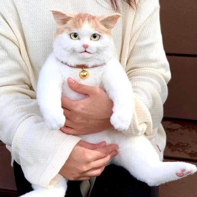 Japanese netizens are crazy about a genuine cat-shaped backpack to every hair, priced at 23 million/piece, still no longer available for sale - Photo 1.