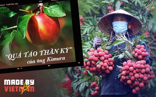 From the story of "miracle apple" of Japan, see the great potential of Vietnam