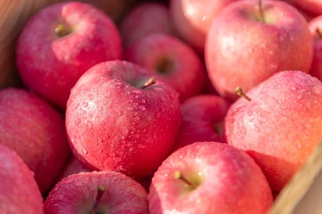 From the story of the miracle apple of Japan, see the great potential of Vietnam - Photo 1.