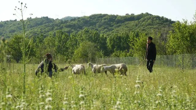 The master couple left the mountain to live like Robinson for 7 years, turning the arid land into a fertile farm: Self-sufficient but surprisingly relaxed - Photo 5.