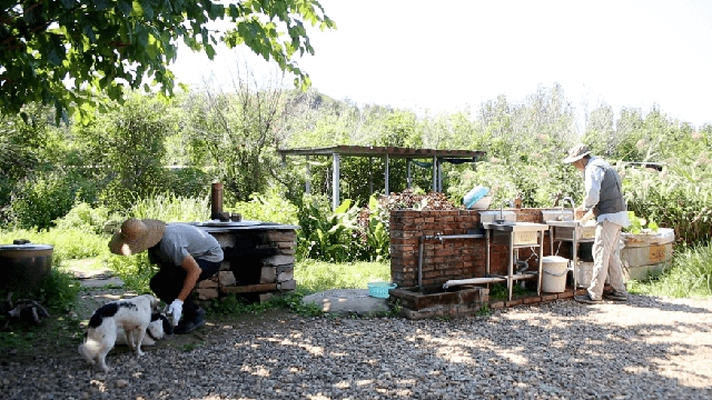 The master couple moved to the mountains to live like Robinson for 7 years, turning the arid land into a fertile farm: Self-sufficient but surprisingly relaxed - Photo 15.