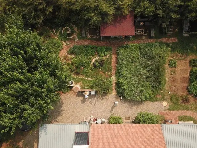 The master couple left the mountain to live like Robinson for 7 years, turning the arid land into a fertile farm: Self-sufficient but surprisingly relaxed - Photo 1.