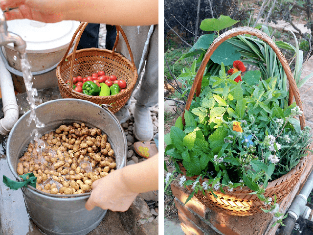 The master couple left the mountain to live like Robinson for 7 years, turning the arid land into a fertile farm: Self-sufficient but surprisingly relaxed - Photo 8.