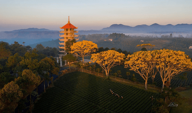 What in the village in Vietnam is likened to the Arc de Triomphe Paris because of its beautiful planning? Located in a poetic land, nature favors paradise-like scenes - Photo 9.