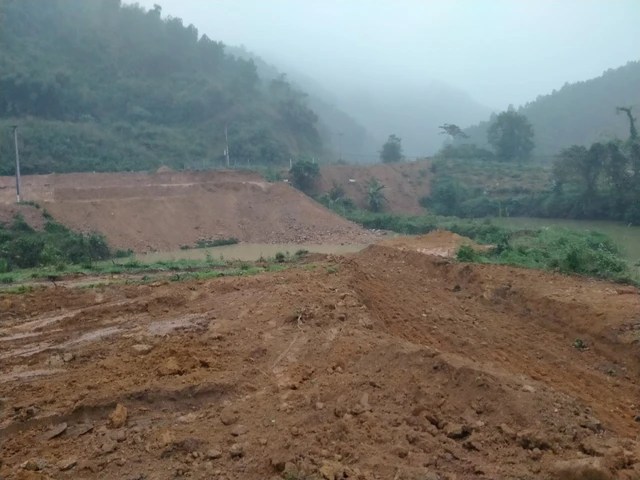 At the end of the farmstay period, selling all year long, no one buys, investors find a way to cut losses - Photo 1.