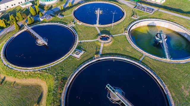 Heineken raises the bar for sustainable development amid a challenging year - Photo 4.