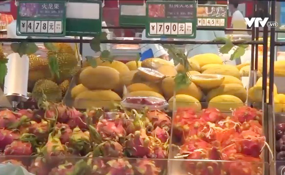 The attraction of dragon fruit: The world considers it a super fruit, Vietnam is the number 1 exporter - Photo 1.