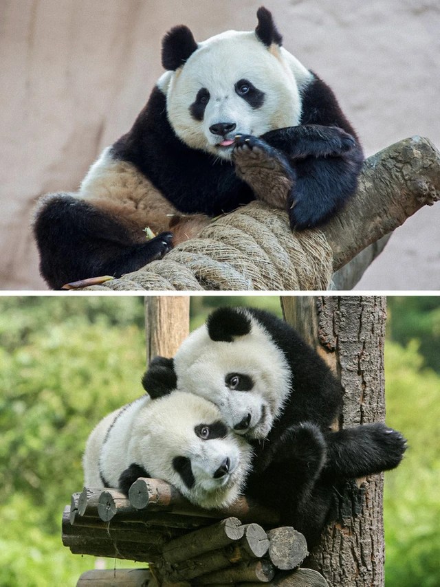 Photos show how rapidly the world has changed in just the past few years - Photo 11.