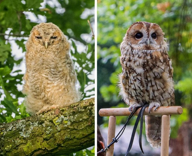 The photos show how the world has changed dramatically in just the past few years - Photo 3.