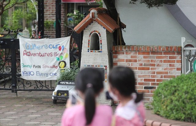 Thousands of kindergartens in South Korea closed because people refused to give birth - Photo 1.