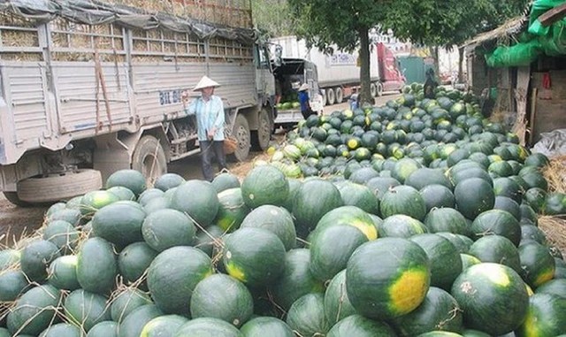 Nearly 3 years of border tightening, how does Vietnam - China trade? - Photo 4.