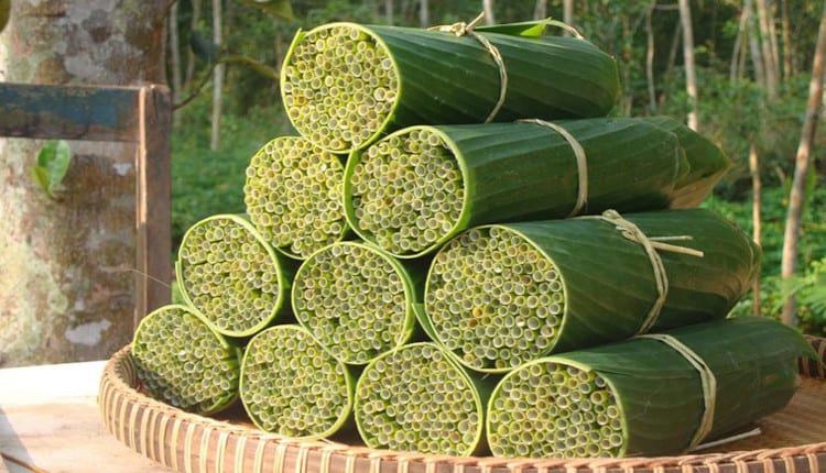 biodegradable ecofriendly straws