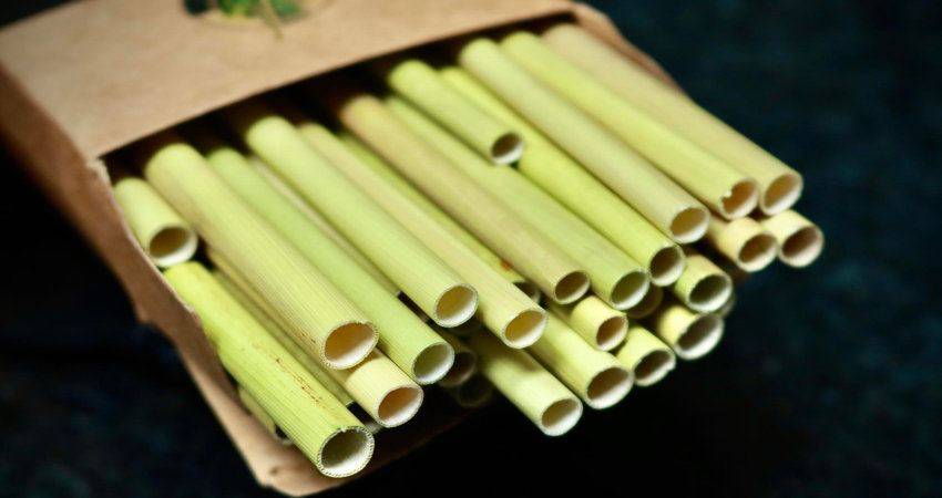 good plastic alternative for straws