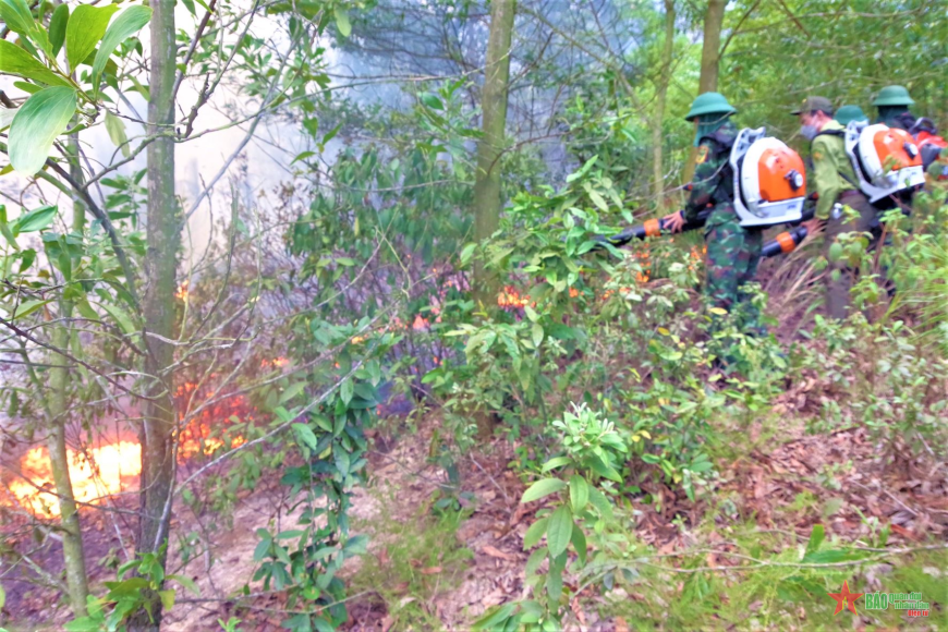 The temperature was scorching, and the foliage was dense, making firefighting difficult.