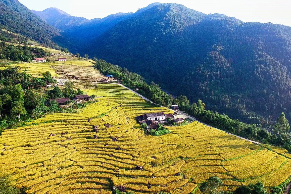 Binh Lieu village with golden terraced fields as beautiful as a picture