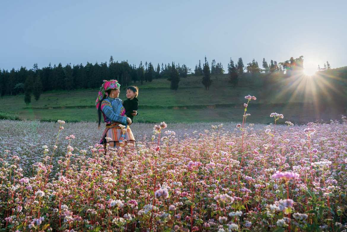 During buckwheat flower season, the monotonous sky of Suoi Thau becomes more lyrical and poetic than ever.