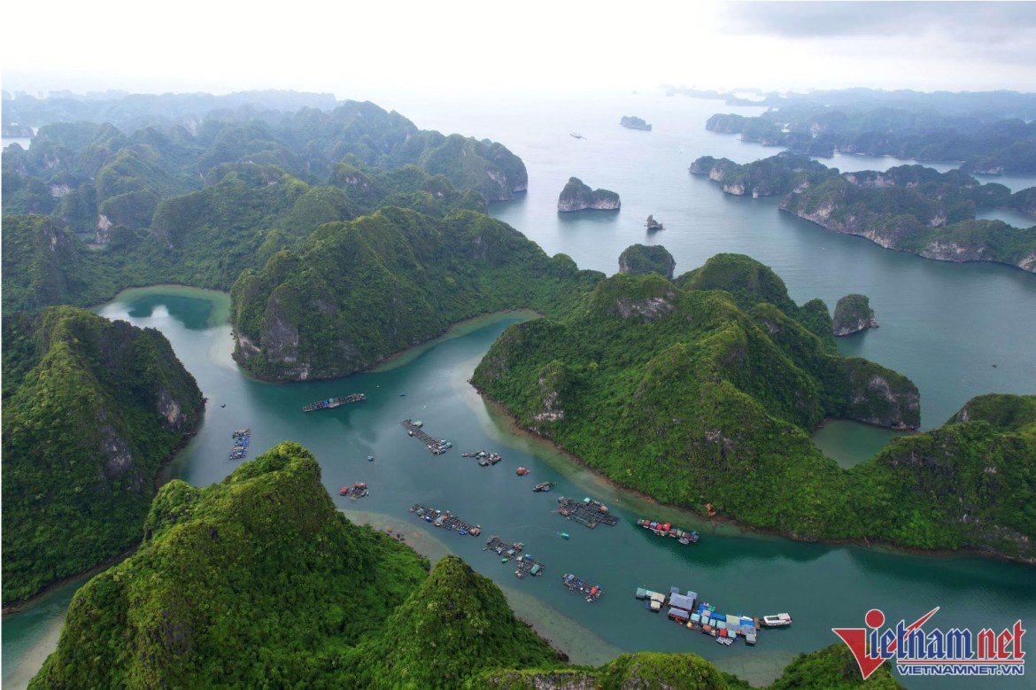 anh chup man hinh 2023 10 27 luc 164832 copy.jpg