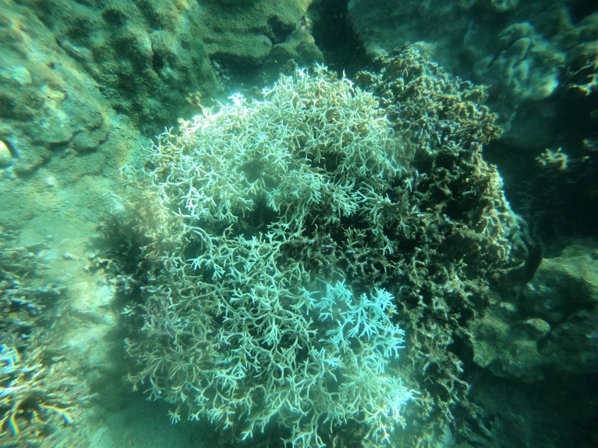 vinh nha trang anh 2