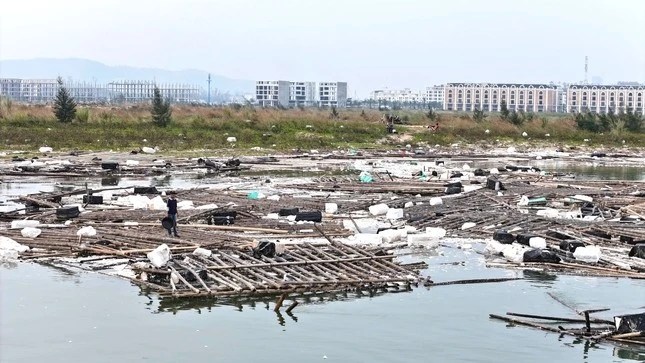Vinh Ha Long anh 1