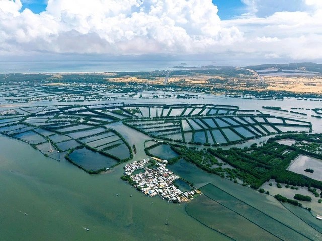 Bình Định mở thêm 2 tour du lịch ở đầm Thị Nại- Ảnh 2.