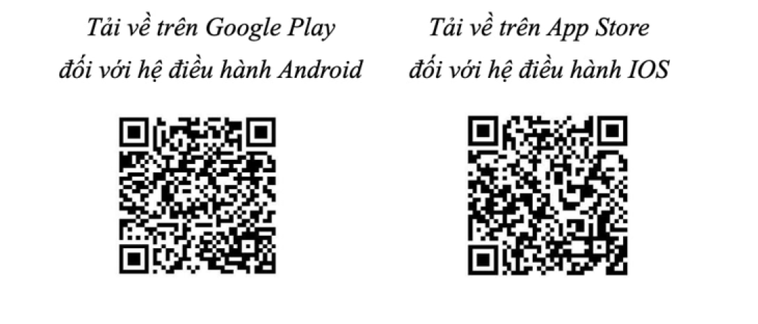 Ho Chi Minh City launches Digital Citizen app, people can send feedback, check records - Photo 2.