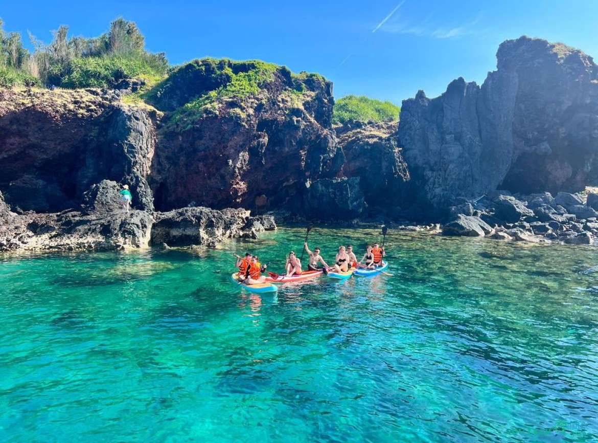 A place known as the "undersea forest" of Vietnam: Wild but poetic scenery, price no more than 500,000 VND/tour - Photo 6.