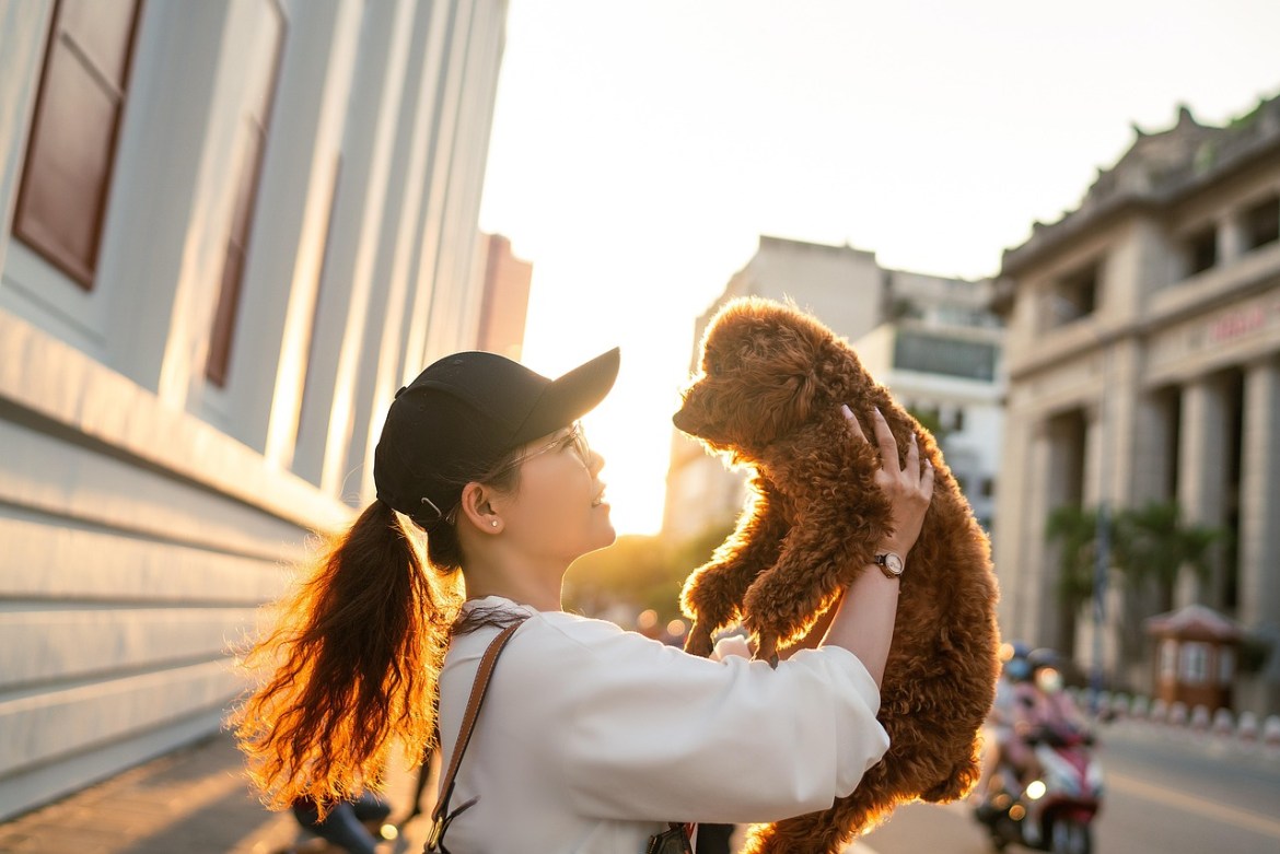Owners enjoy time with their pets